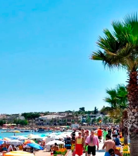Didim Taksi